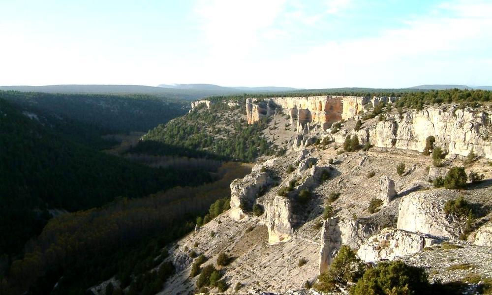 Hotel Rural La Corte De Los Pinares Vinuesa Dış mekan fotoğraf